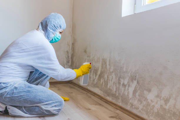 Bathroom Mold Removal assessment in Park Ridge bathroom