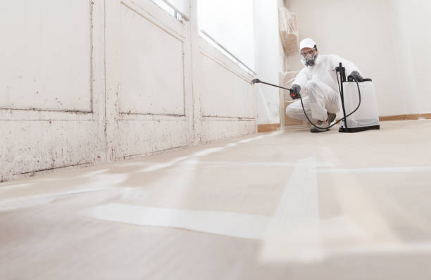 Post-remediation clearance in Park Ridge